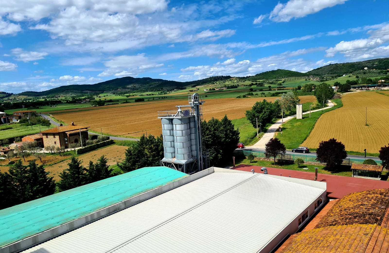 Azienda